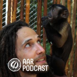 AAR PODCAST by Animalito Records
