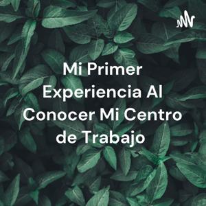 Mi Primer Experiencia Al Conocer Mi Centro de Trabajo