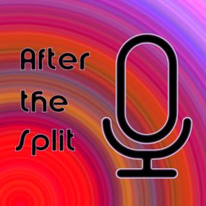 After the Split (Speedrun Podcast)