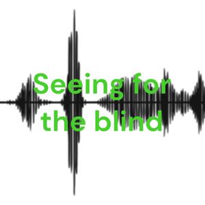 Seeing for the blind