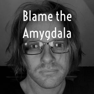 Blame the Amygdala