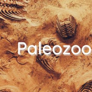 Paleozoologia