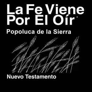 Popoluca de la Sierra Biblia (no dramatizada) - Popoloca, Highland (Non-Dramatized)