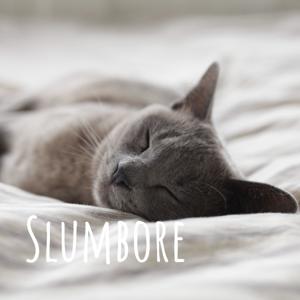 Slumbore