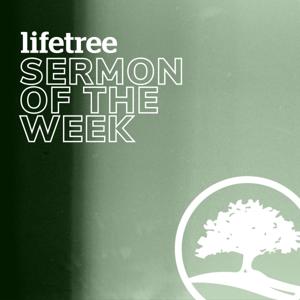 Lifetree Sermon of the Week