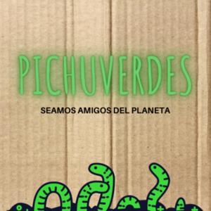 PichuVerdes