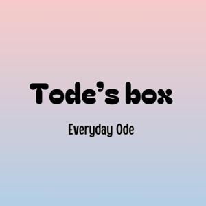 TODE'S BOX