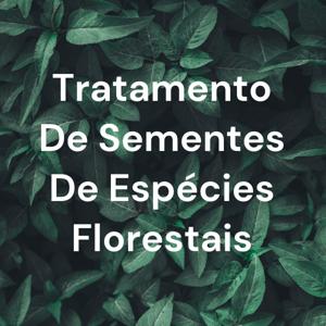 Tratamento De Sementes De Espécies Florestais