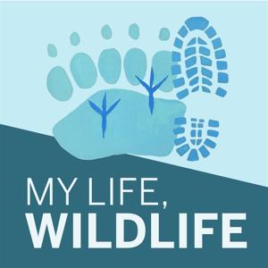 My Life, Wildlife