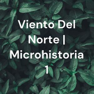 Viento Del Norte | Microhistoria 1