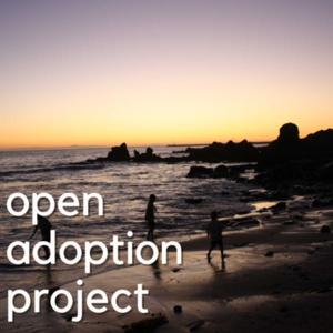 Open Adoption Project by Lanette & Shaun Nelson