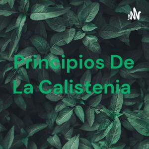 Principios De La Calistenia