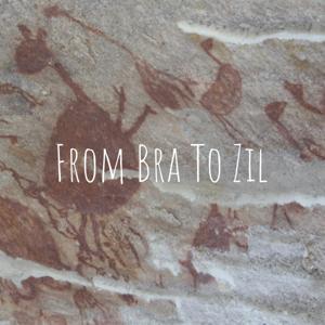 From Bra To Zil