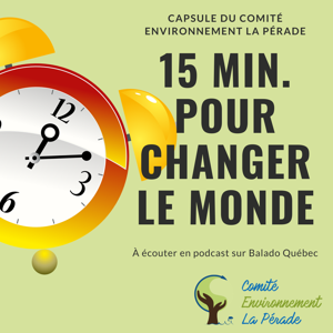 15 minutes pour changer le monde