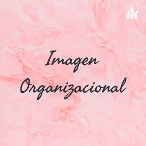 Imagen Organizacional