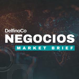 DelfinoCo Negocios Market Brief