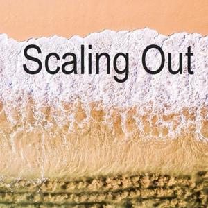 Scaling Out - Mentoring for Consultants