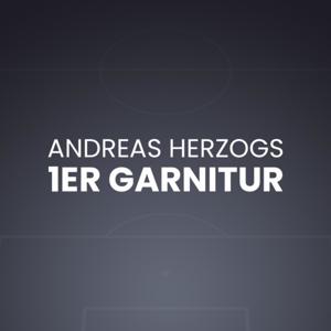 Andreas Herzog - 1er Garnitur