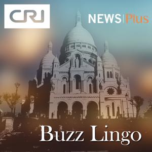 Buzz Lingo