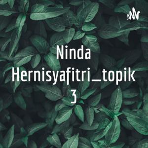 Ninda Hernisyafitri_topik 3