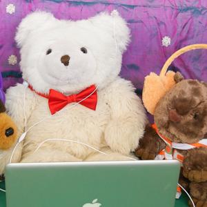 Mawson Bear and his Furry Friends