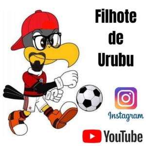 Filhote de Urubu