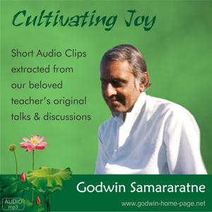 Cultivating Joy - Godwin Samararatne