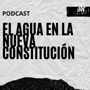 El Agua En La Nueva Constitución