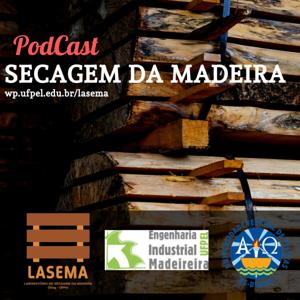 Secagem da Madeira