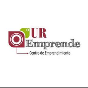 ARTE DE EMPRENDER UR