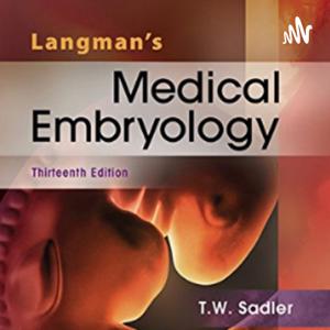 Langman's Medical Embryology