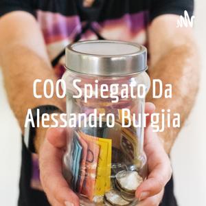 COO Spiegato Da Alessandro Burgjia