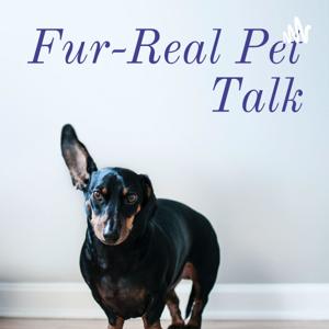 Fur-Real Pet Talk