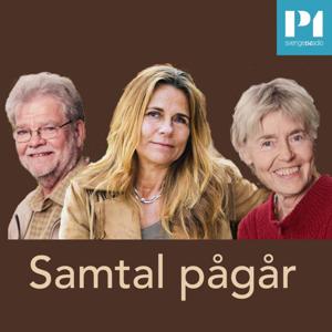 Samtal pågår