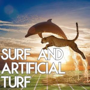 Surf and Artificial Turf