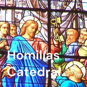 Homilías Catedral