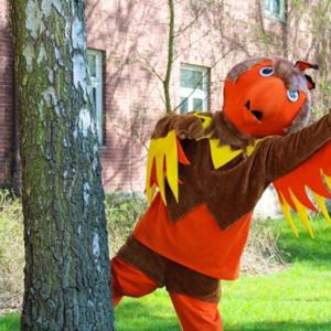 Phoenix 101