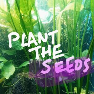 Plant the Seeds