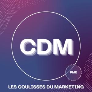 LES COULISSES DU MARKETING DES PME