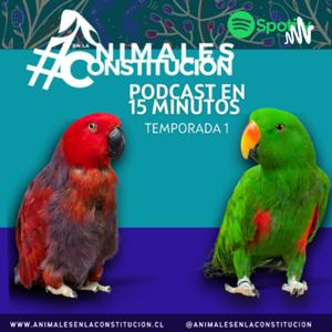 Animales en la Constitución