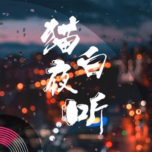 猫白夜听｜总要和这个世界和解