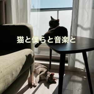 猫と僕らと音楽と