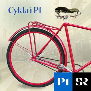 Cykla i P1