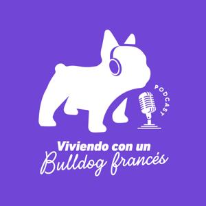 Viviendo con un bulldog francés