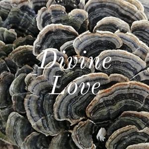 Divine Love