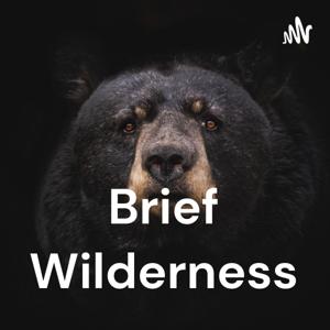 Brief Wilderness
