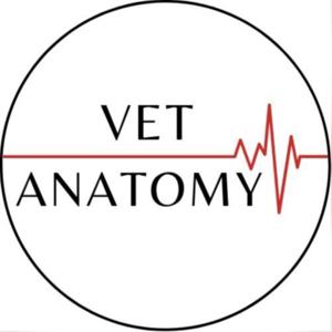 Vetanatomy 3.0