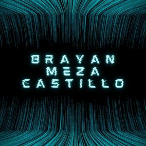 Brayan Meza Castillo