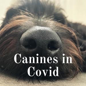 Canines in Covid