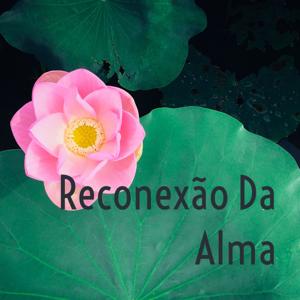 Reconexão Da Alma